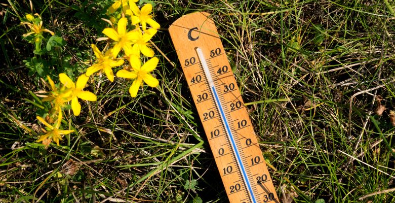 Canicule à Angers : un rafraîchissement dès jeudi soir