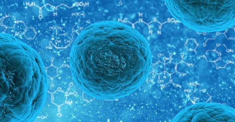 Coronavirus : la vague monte en Pays de la Loire